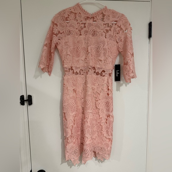 Lulus A Fine Romance Blush Pink Lace Sheath Dress - size small - Picture 4 of 5